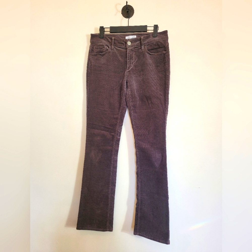 LOFT Curvy Boot Cords